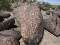 The Rocks Were Covered!